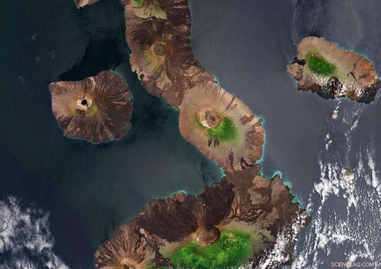 Galápagos Islands: How Cold Ocean Currents Shield the Archipelago from Climate Change