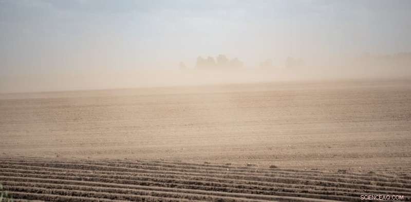 How Drought Threatens Our Food Supply: Milk, Beer, and More at Risk