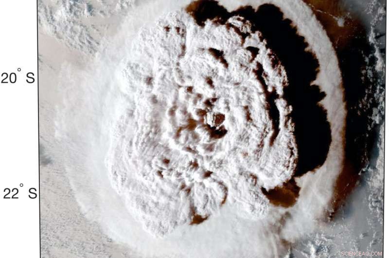 Tonga Volcano Eruption Sparks Massive Phytoplankton Bloom, Boosting Ocean Life