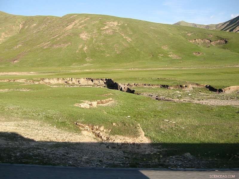 Factors Influencing Soil Ecological Stoichiometry in China’s Ecologically Fragile Regions