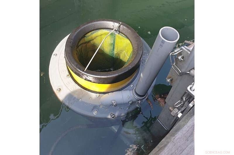 New Study Evaluates Mechanical Devices for Removing Ocean Plastic Pollution