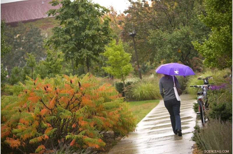 US Precipitation Intensifies: Daily Rains Get Heavier