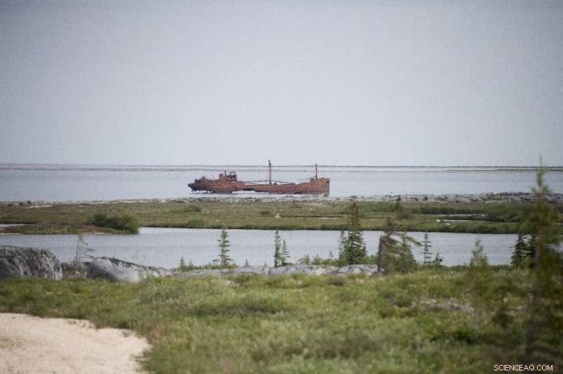 Canadian Musher Witnesses Climate Crisis at Arctic’s Frontiers