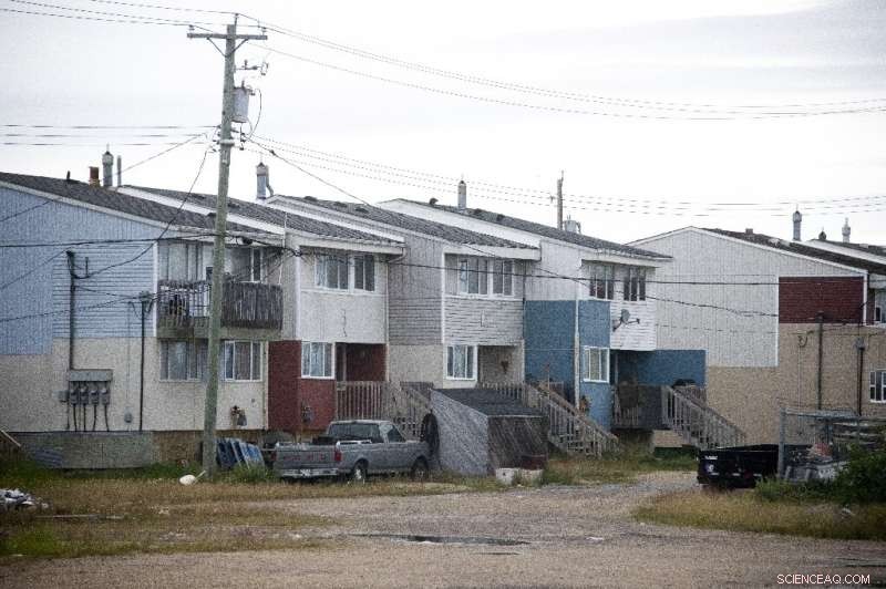 Canadian Musher Witnesses Climate Crisis at Arctic’s Frontiers