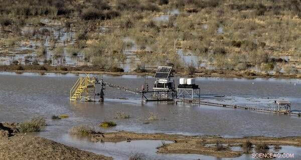 Lake Eyre Basin at Risk: 831 Oil & Gas Wells and Planned Expansions Threaten Its Pristine Ecosystem