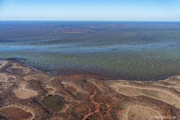 Lake Eyre Basin at Risk: 831 Oil & Gas Wells and Planned Expansions Threaten Its Pristine Ecosystem