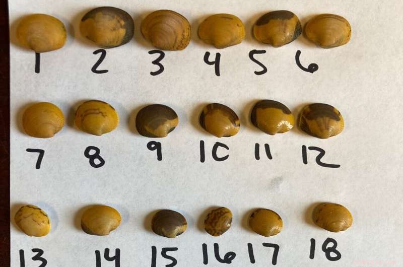 Applying Proven Management Techniques to Mitigate Ocean Acidification