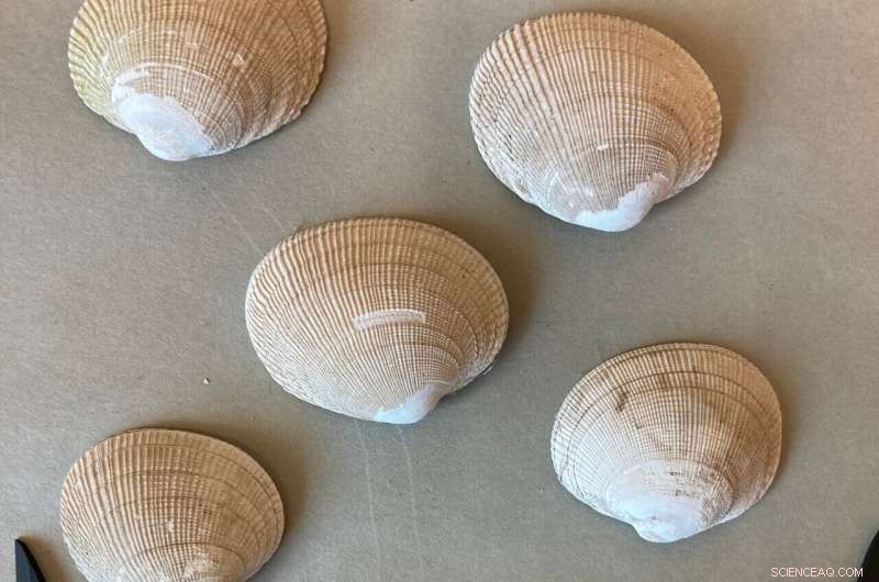 Applying Proven Management Techniques to Mitigate Ocean Acidification