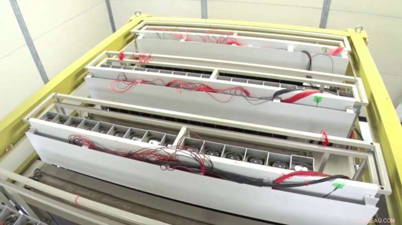 Cosmic Ray Imaging Reveals Fresh Insights into Tropical Cyclone Structure