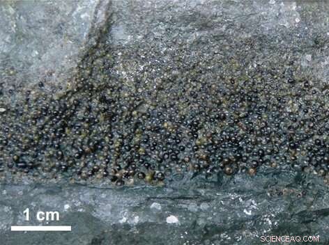 Asteroid that Killed Dinosaurs May Have Triggered Weeks‑Long Mega Earthquake