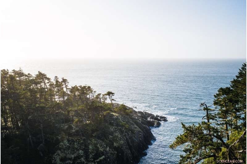 Tracing Water Particles Backward Through Time: Uncovering Oceanic Oxygen Trends