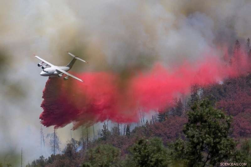 Mass Evacuations Amid Rapidly Expanding California Wildfire
