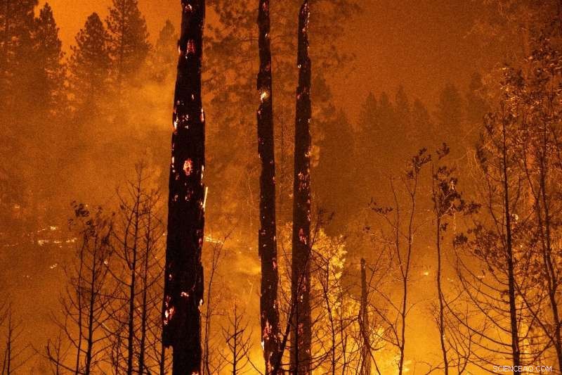 Mass Evacuations Amid Rapidly Expanding California Wildfire