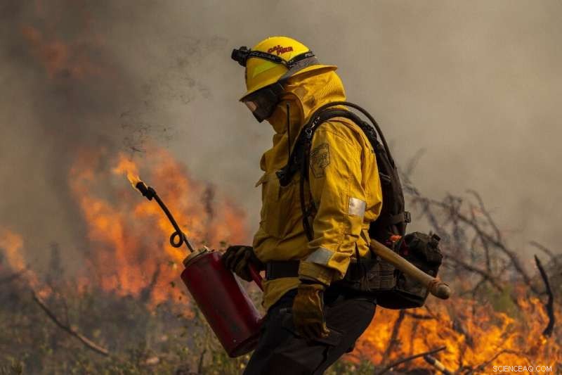 Oak Fire Near Yosemite: Firefighters Battle Blaze Amid Nationwide Heat Wave