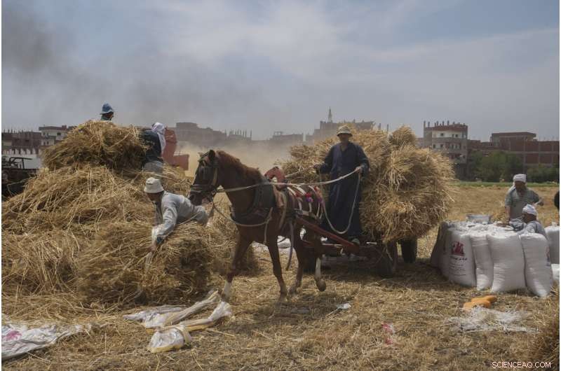 Middle East Nations Acknowledge Rising Climate Damage