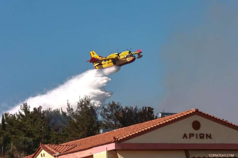 Greece and California Face Devastating Wildfires as Heatwaves Intensify