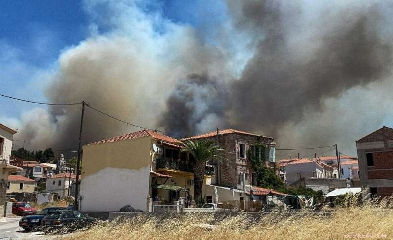 Greece and California Face Devastating Wildfires as Heatwaves Intensify