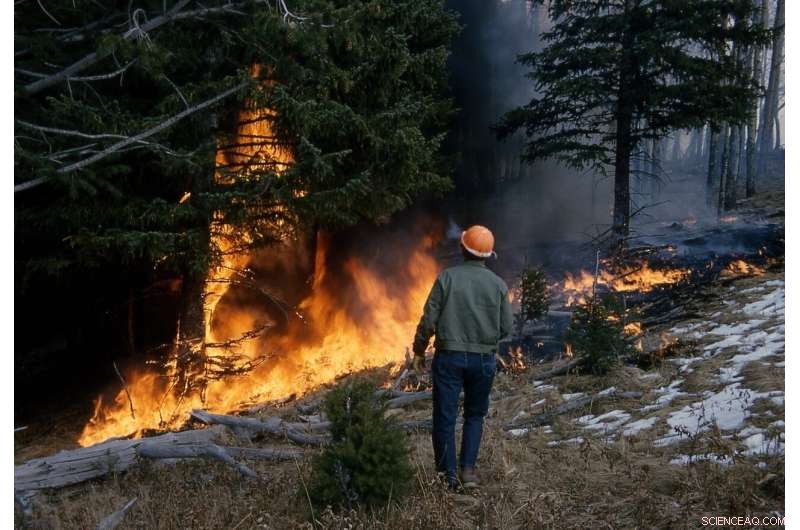 New Arnhem Land Study Shows Cultural Burning Outperforms Institutional Fire Management