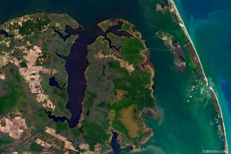 Landsat Turns 50: How Satellite Imaging Transformed Environmental Monitoring