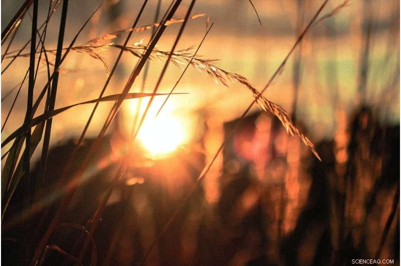 WMO Stays Neutral: No Plans to Name Heatwaves, Prioritizing Life‑Saving Forecasts