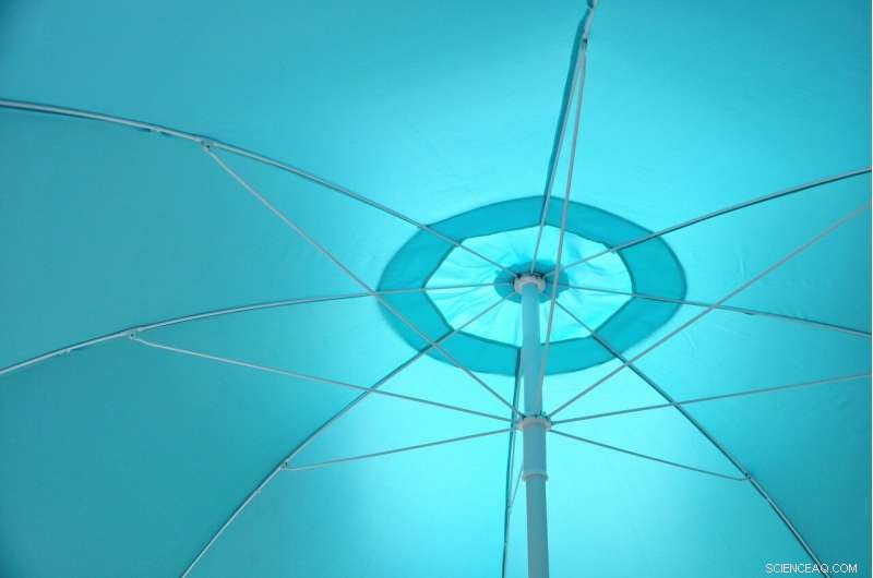 WHO Warns 1,700 Heatwave Deaths in Spain, Portugal: Urgent Call for Climate Action