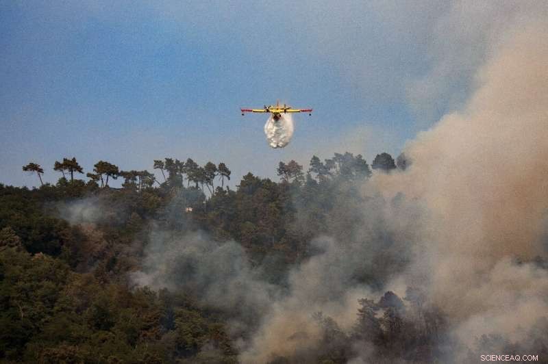 Italy Faces Record Heatwave: 16 Cities on Red Alert as Tuscan Wildfires Intensify