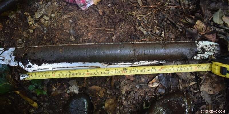 New Study Reveals Largest Tropical Peatland is 15% Bigger Than Previously Thought