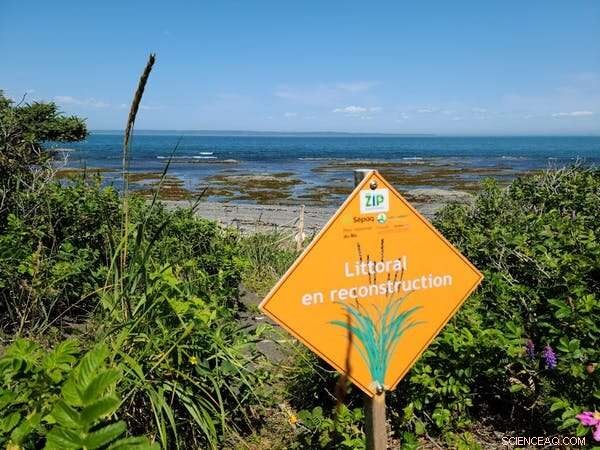 St. Lawrence Shoreline Erosion: Partnering with Nature for Sustainable Solutions