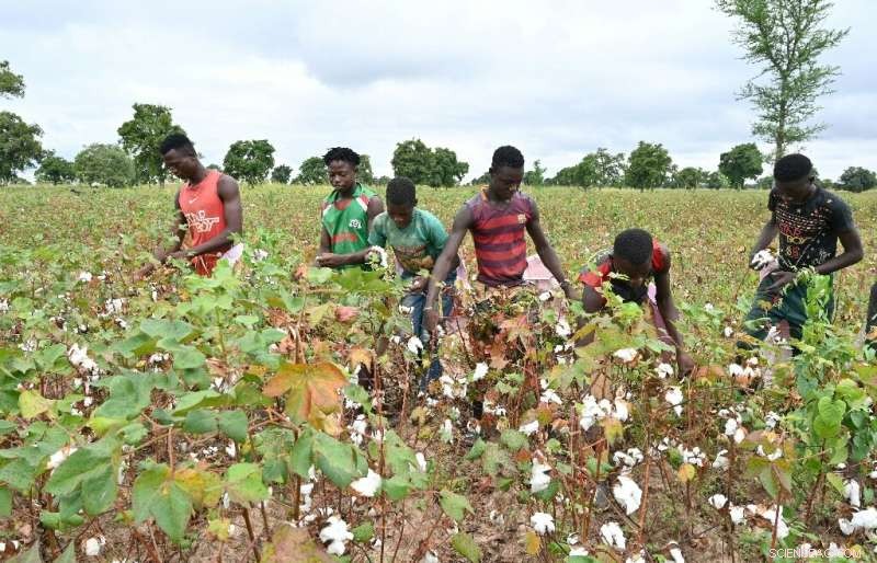 France to Launch Climate‑Impact Labels on All Apparel, Driving Sustainable Fashion