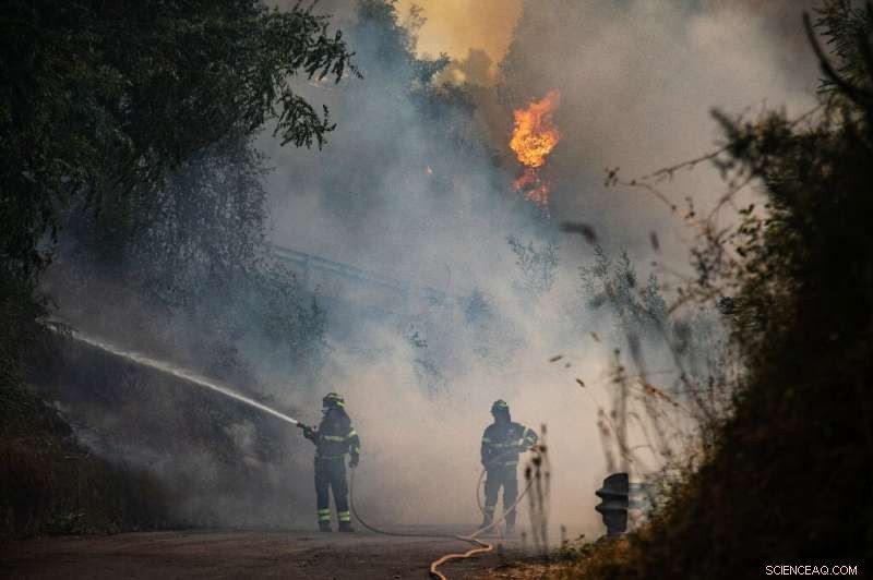 Europe Faces Record Fire Year as Climate Change Fuels Devastating Wildfires