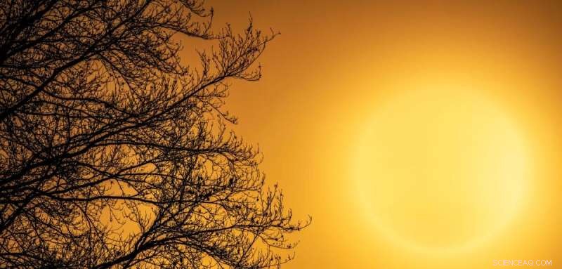 Past Global Temperatures: Evidence Shows 14°C Higher Levels 50 Million Years Ago