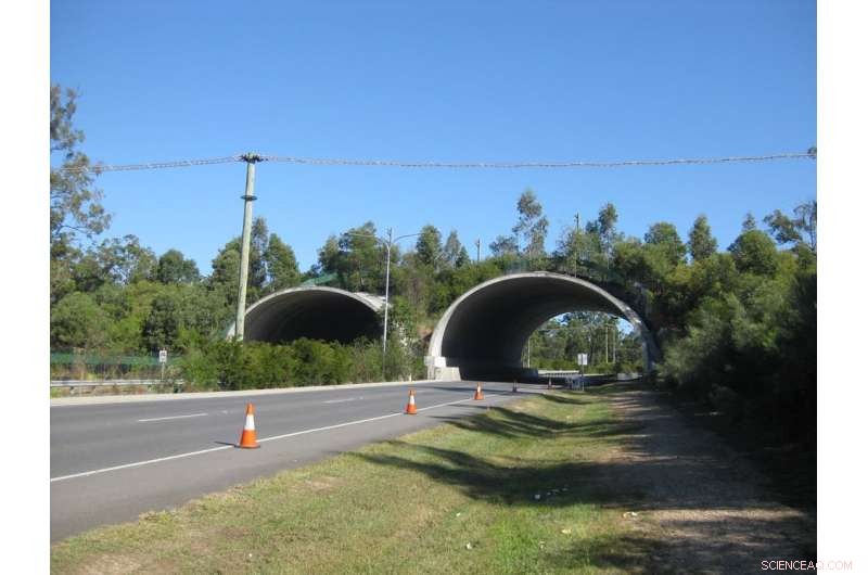 Act Now: How Every Australian Can Combat Environmental Decline Locally