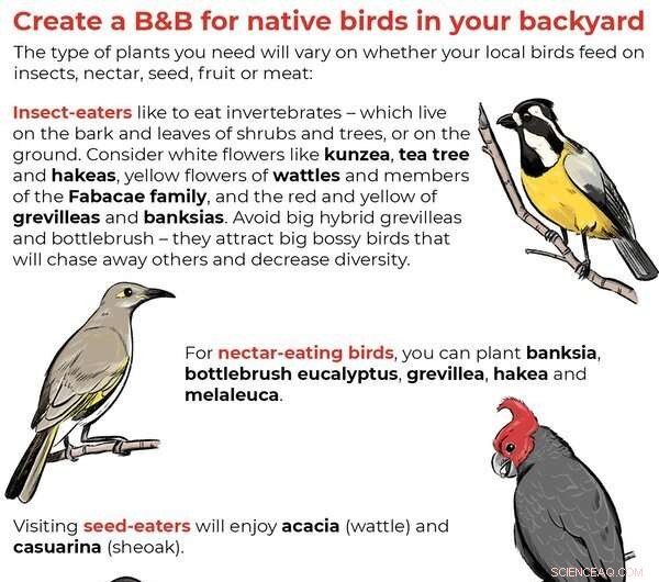 Act Now: How Every Australian Can Combat Environmental Decline Locally