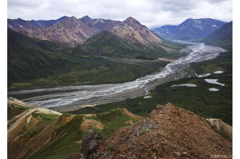 Research Reveals Timing May Have Cost  Into the Wild  Adventurer His Life