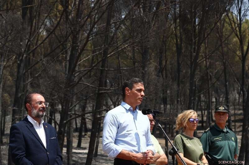 Europe Grapples With Heatwave Toll as Spanish PM Reports Over 500 Fatalities