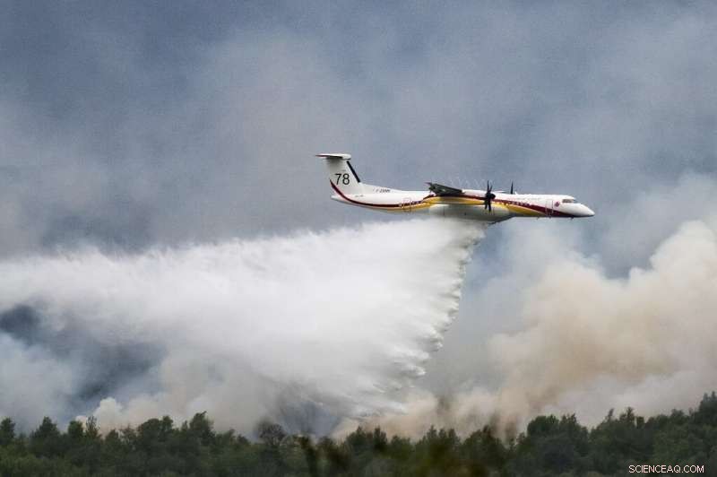 Europe Calculates Heatwave Costs as French Wildfires Tame