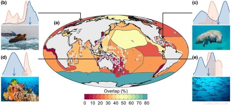 Rising Ocean Temperatures Threaten the World s Richest Marine Biodiversity