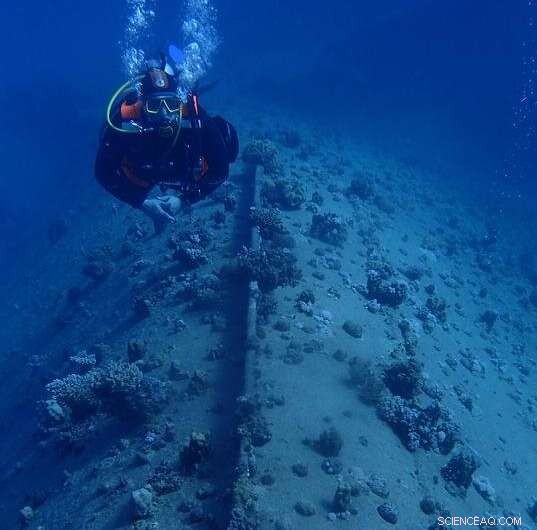 Microplastics: Shipwrecks and Beaches as Real-World Research Labs