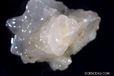 Wadden Sea Holds Tens of Tons of Nanoplastic, Scientists Reveal