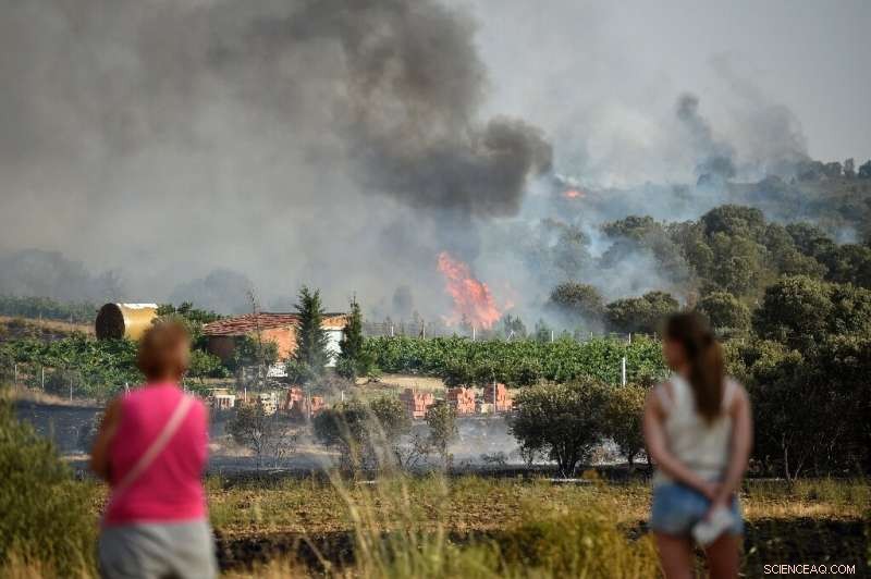Severe Heatwave in Europe Drives Dangerous Ozone Levels and Heightens Wildfire Threat