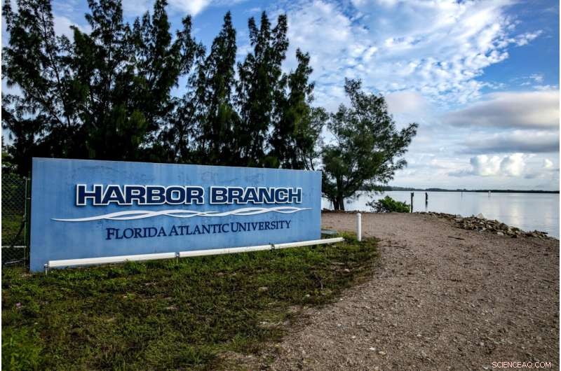 Climate Warming and Water Management: Their Impact on West Florida’s Continental Shelf