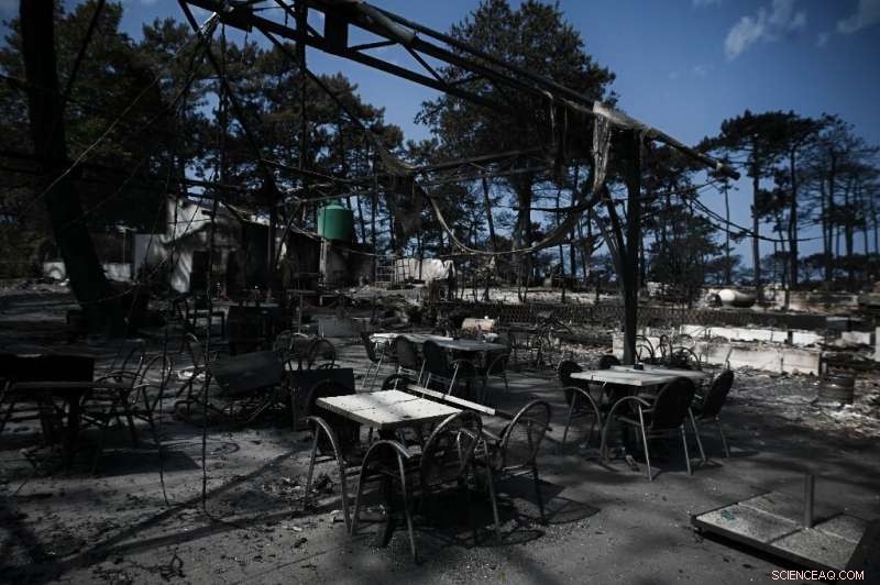 Fire Strikes Dune du Pilat, Europe s Largest Sand Dune