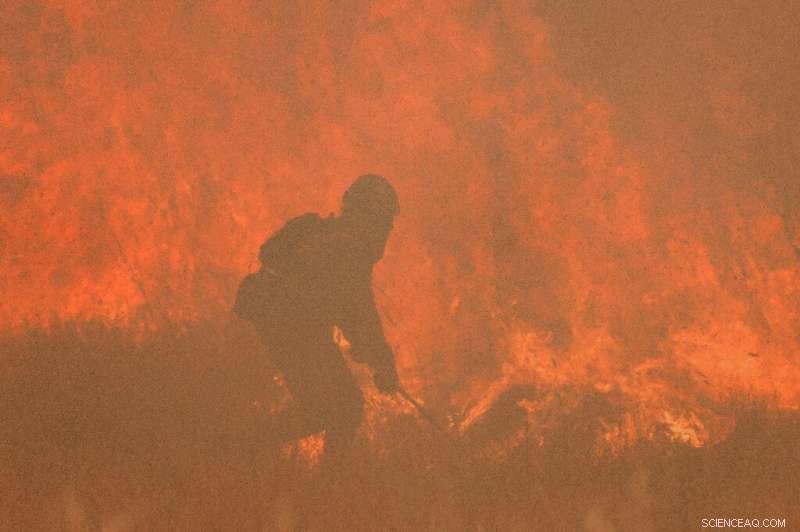 Spain Faces Second Wildfire in Zamora Province Within a Month