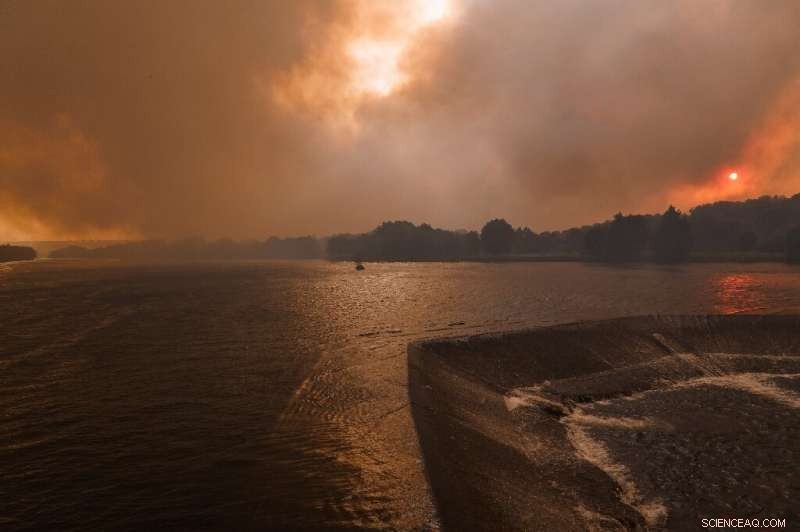 Spain Faces Second Wildfire in Zamora Province Within a Month