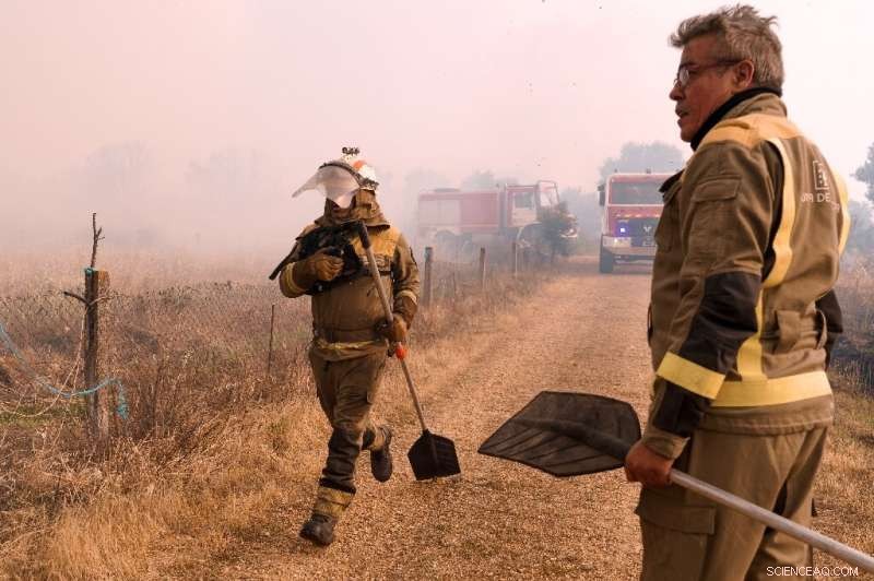 Spain Faces Second Wildfire in Zamora Province Within a Month