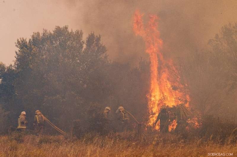 Spain Faces Second Wildfire in Zamora Province Within a Month