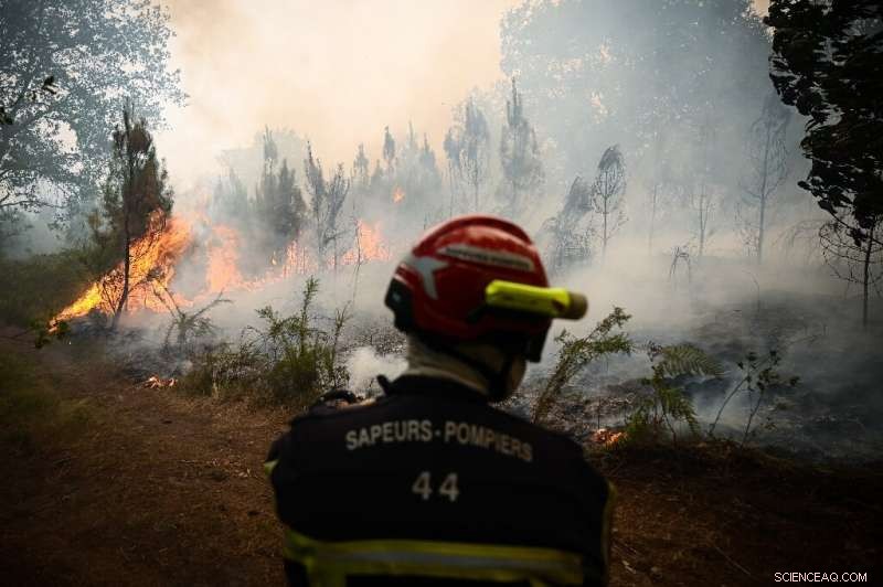 UK Records First 40°C Day Amid Europe-Wide Heatwave
