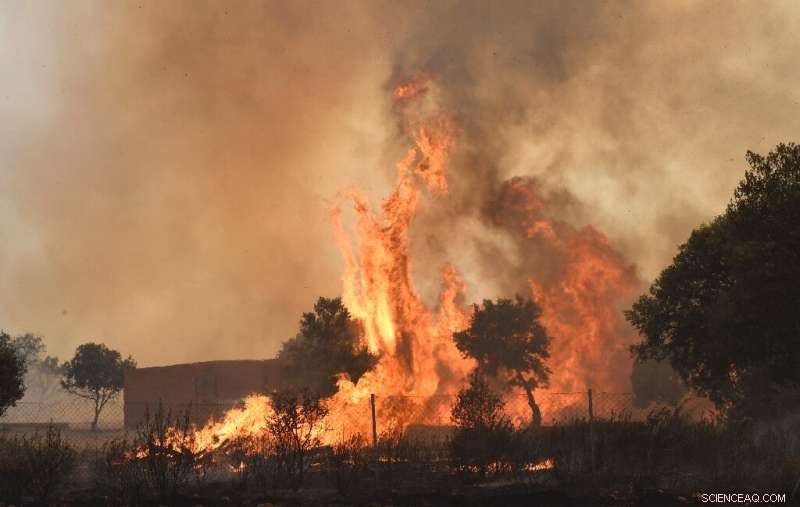 UK Records First 40°C Day Amid Europe-Wide Heatwave