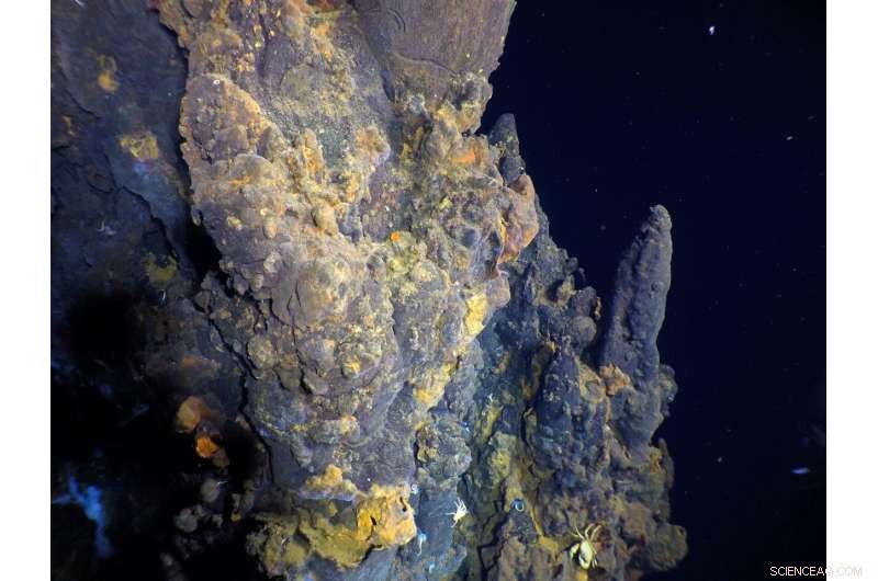 New Off-Axis High-Temperature Hydrothermal Field Revealed on the East Pacific Rise