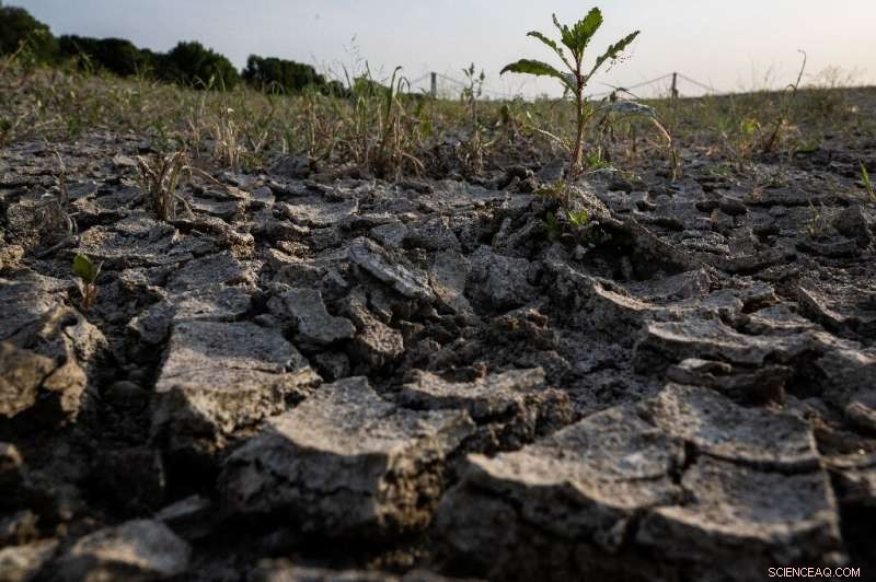Climate Change Leaves Clear Fingerprints on Record-Breaking Heatwaves